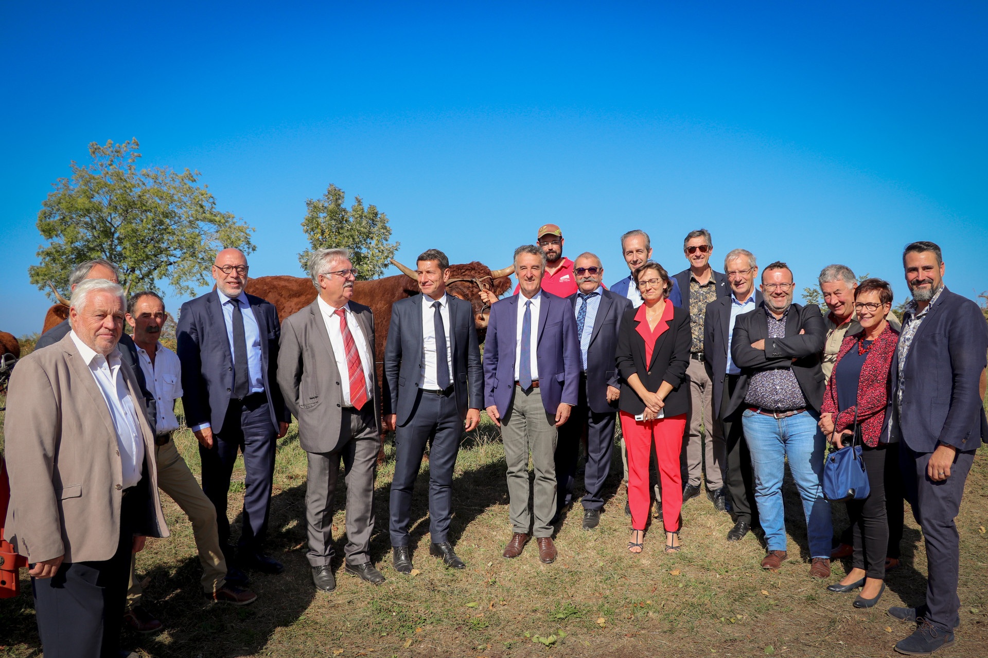 Description de l'image