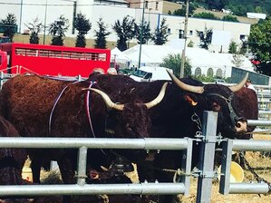 L’AMF SE BAT POUR LES DROITS DES AGRICULTEURS RETRAITÉS, ANCIENS ÉLUS OU ÉLUS EN FONCTION